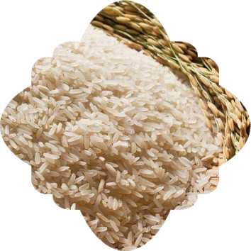 Indian Non Basmati Rice